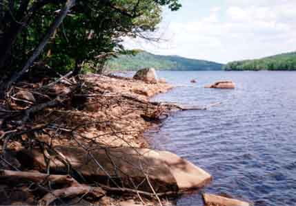 MOSHIER.jpg (50367 bytes)