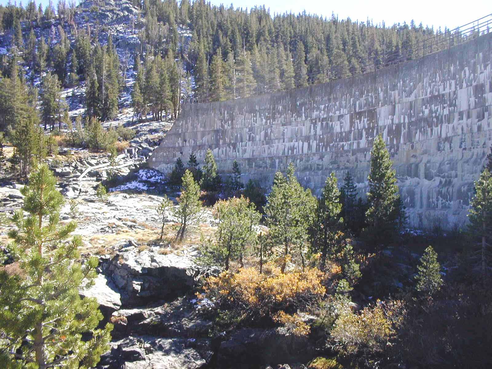 R DS ARCH3.jpg (260066 bytes)