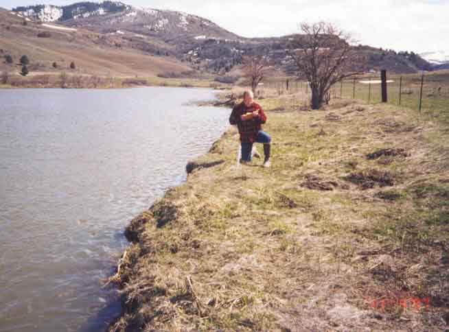 bear.jpg (94106 bytes)