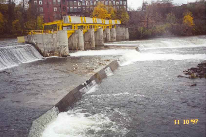 oswego.jpg (119222 bytes)